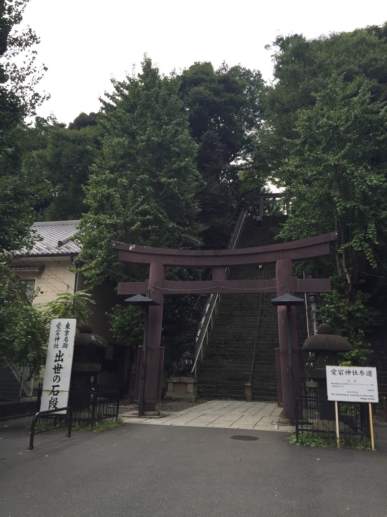 d0162995_19563429.jpg