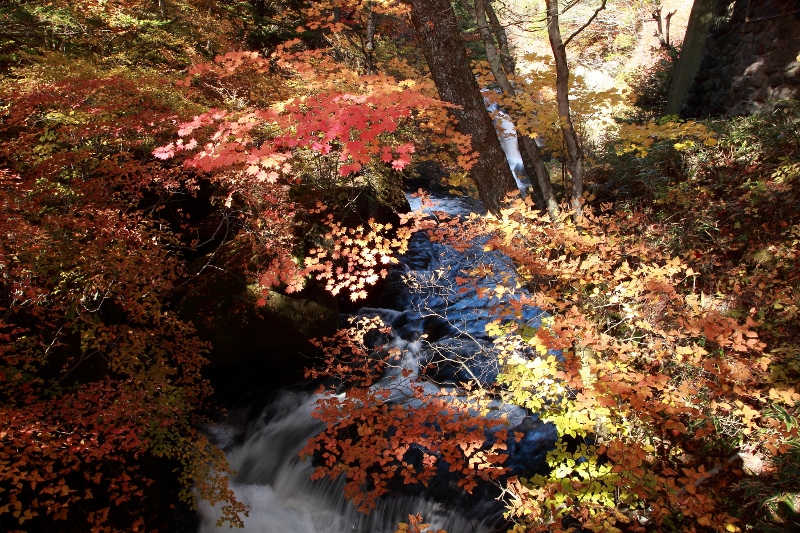 竜頭の滝・紅葉_e0257101_1774735.jpg