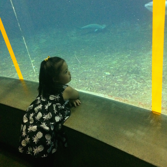 夏の想い出♪葛西臨海水族園_d0193005_2325926.jpg