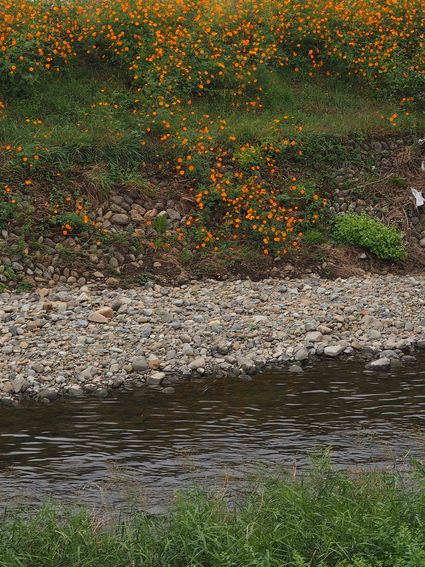 c0156908_022010.jpg