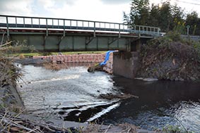 d0110009_13341770.jpg