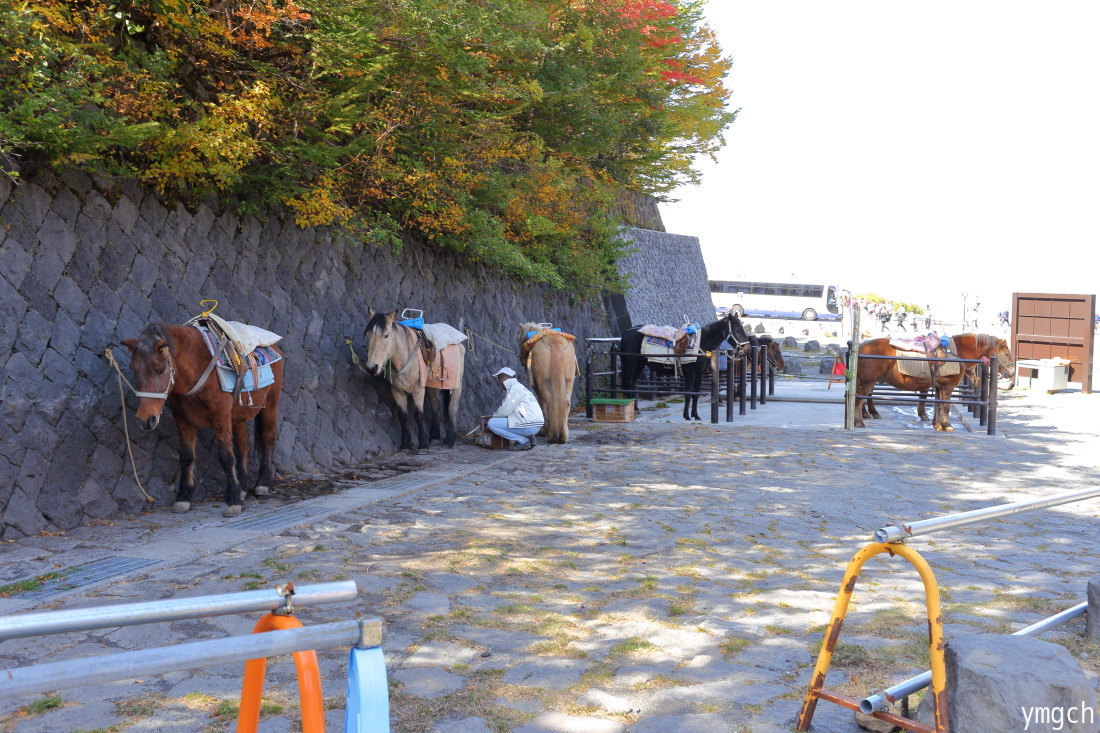 富士山１〜５合目登山（４）_f0157812_05003644.jpg