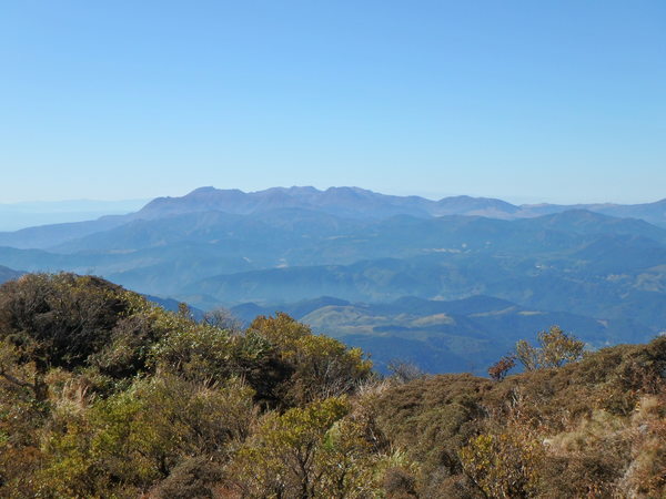 d0198313_10445231.jpg