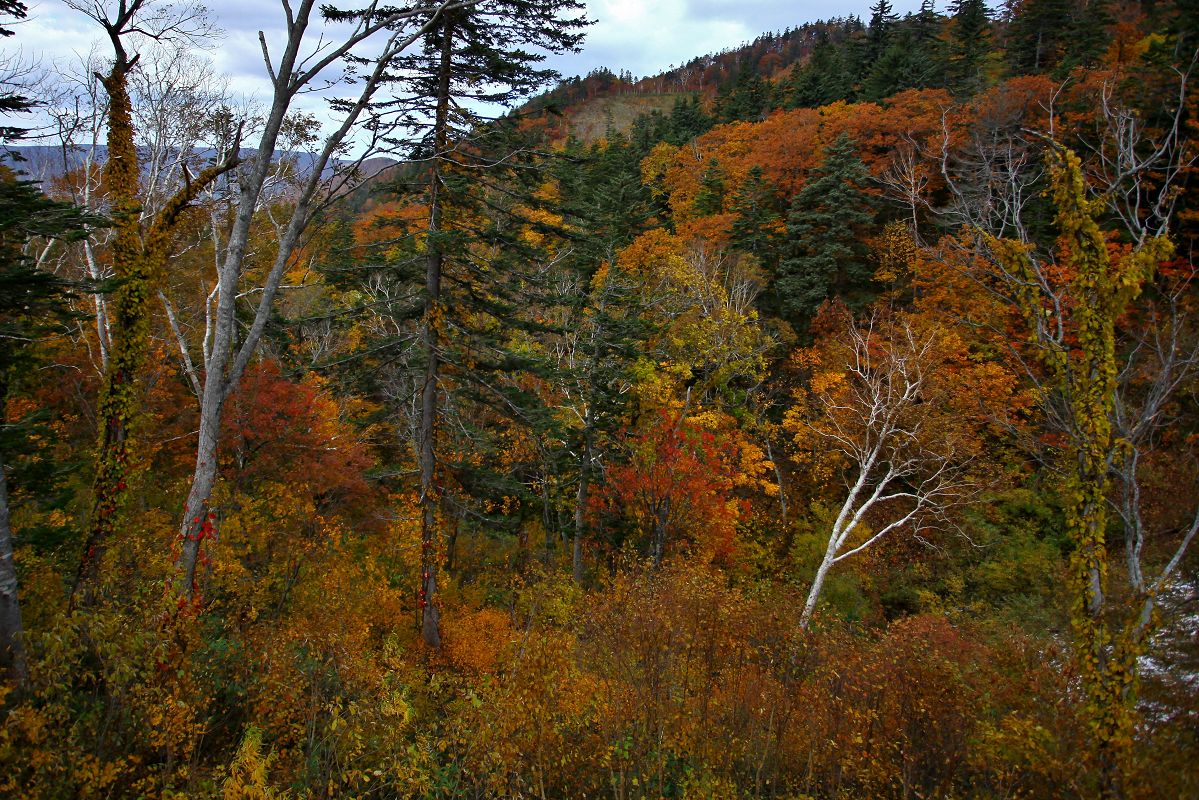 c0367515_112696.jpg