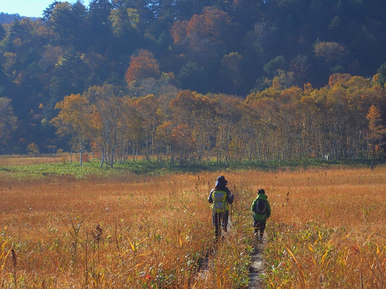 紅葉の至仏山！_a0165316_14452772.jpg