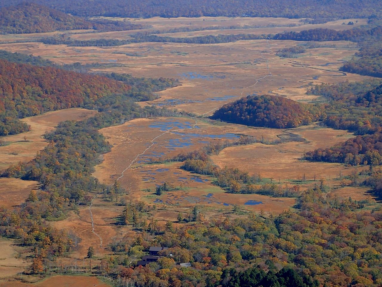 紅葉の至仏山！_a0165316_14484990.jpg