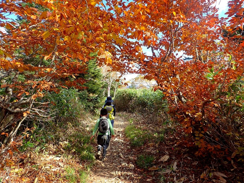 紅葉の至仏山！_a0165316_14595435.jpg