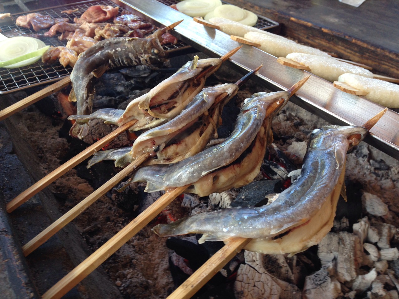 パークランドBBQツーリング!報告_a0169219_15511873.jpg