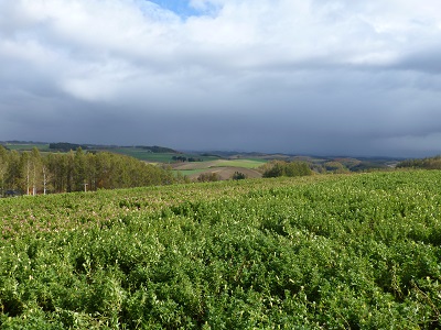 c0227720_004588.jpg