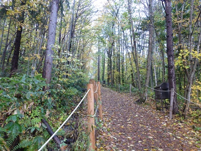 c0227720_2130407.jpg