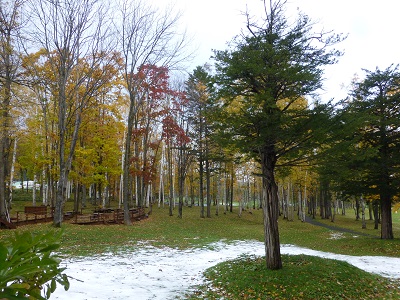 c0227720_21574949.jpg