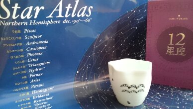 【★12星座aromaポット】 ~ ♒ 水瓶座 ~ ⑪ _c0203121_2303353.jpg