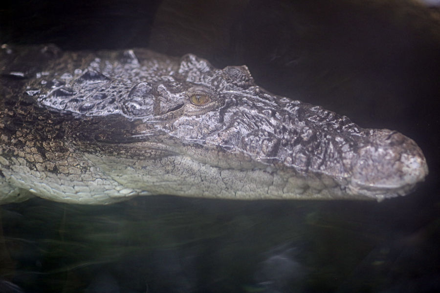 f0224624_7213066.jpg