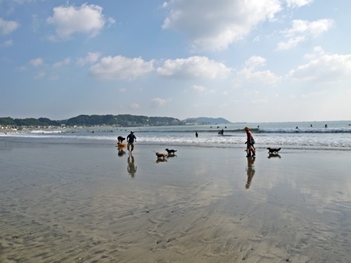 秋のMW遠足行ってまいりました~♪_e0191026_1519758.jpg