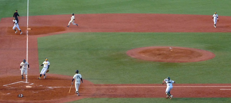 専修大対國學院大 10月6日 東都大学野球1部_b0166128_17131234.jpg