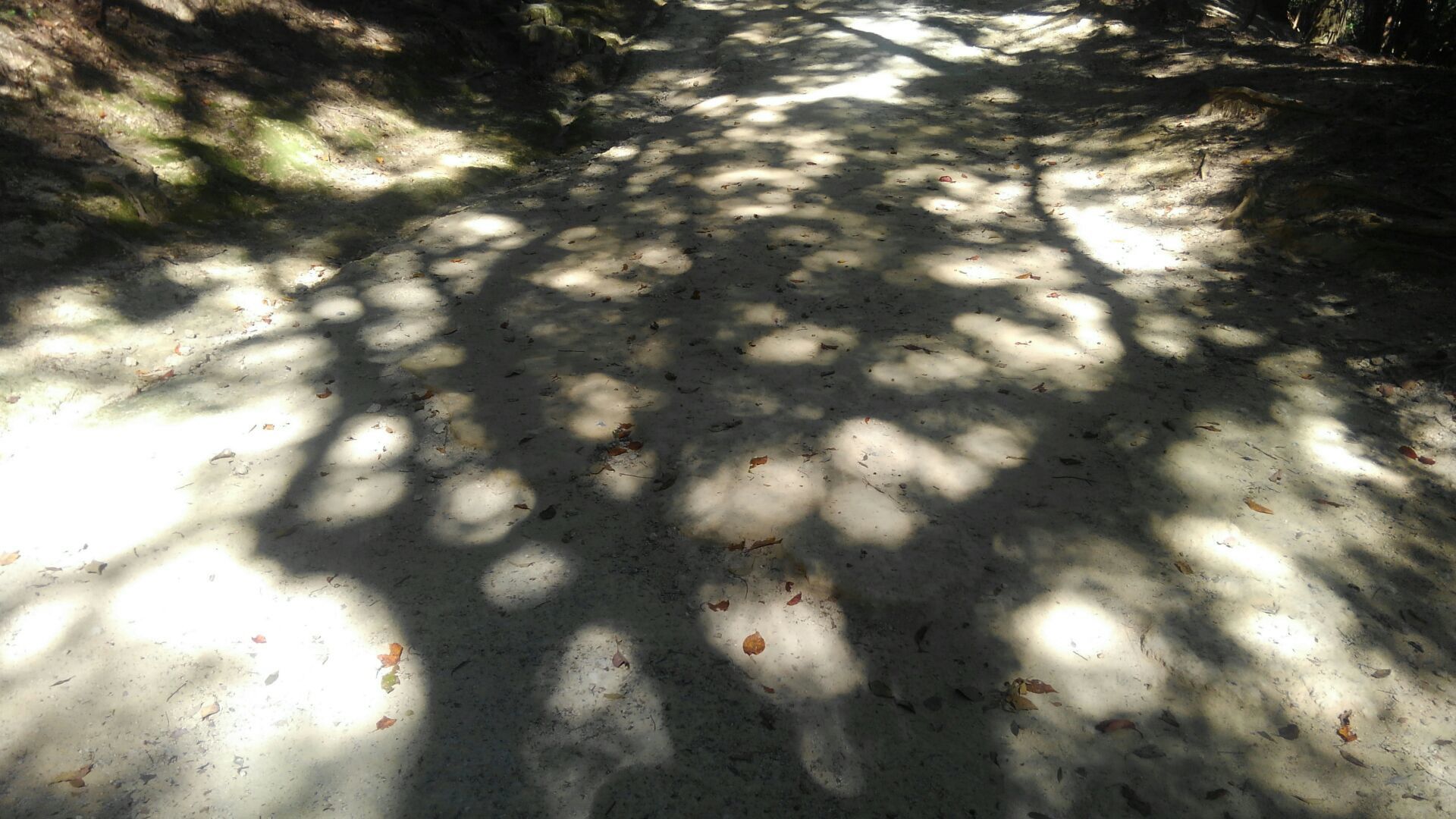 f0111128_22443540.jpg