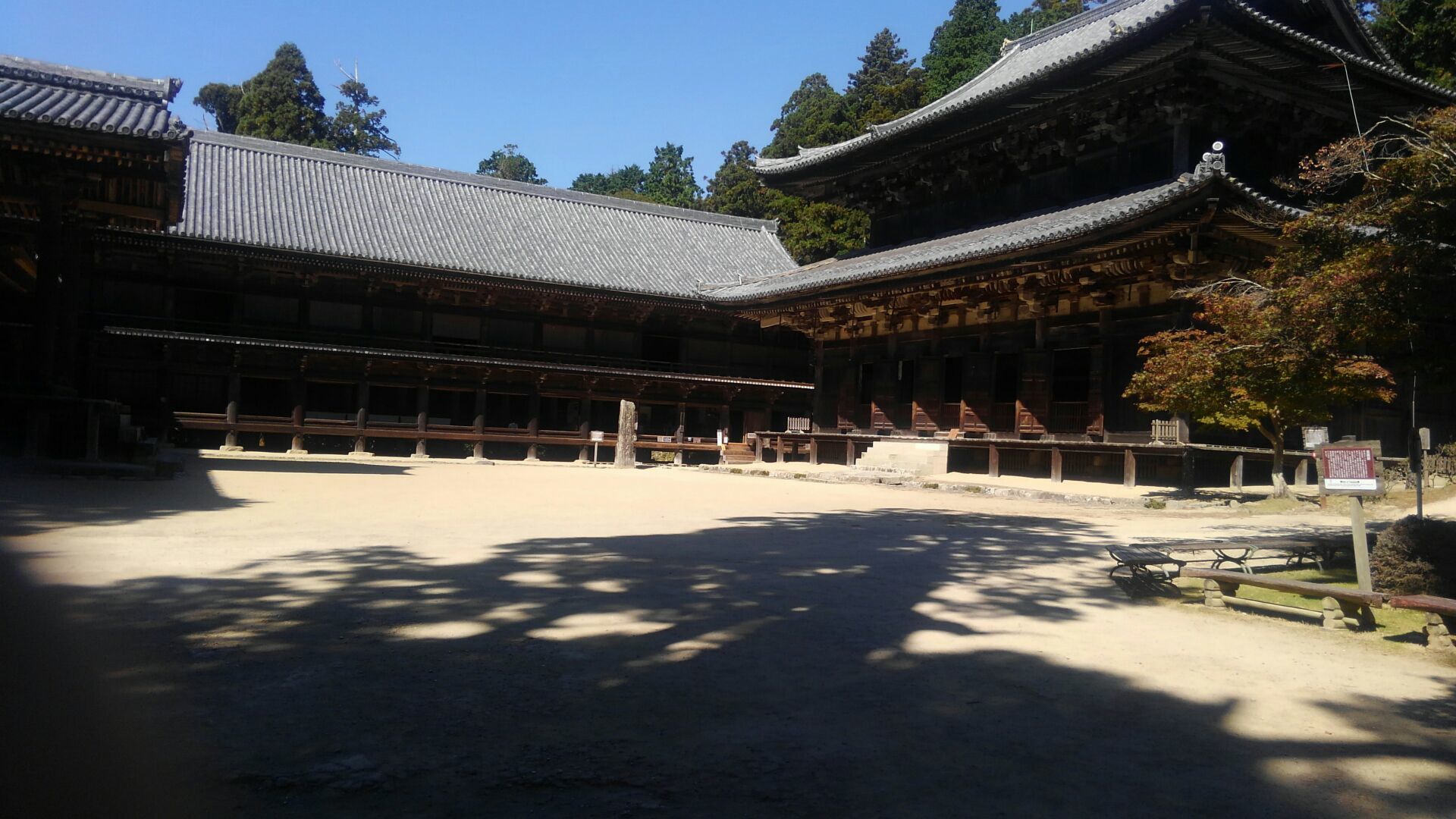 f0111128_22453269.jpg