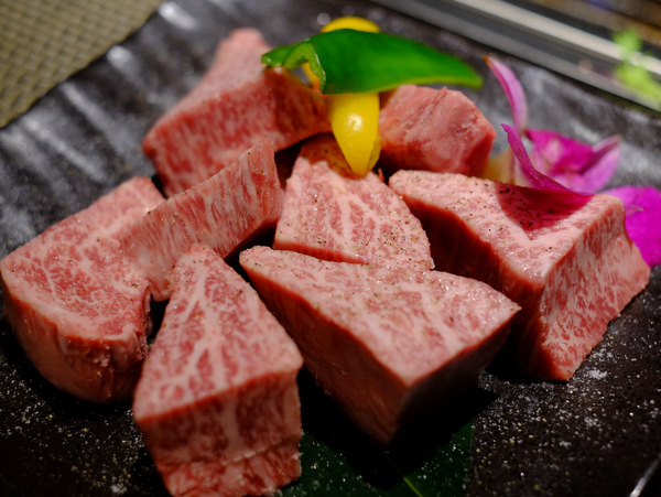 「霞が関・虎の門 ヒレ肉の宝山 霞が関店　ヒレ肉ディナー」_a0000029_0163659.jpg