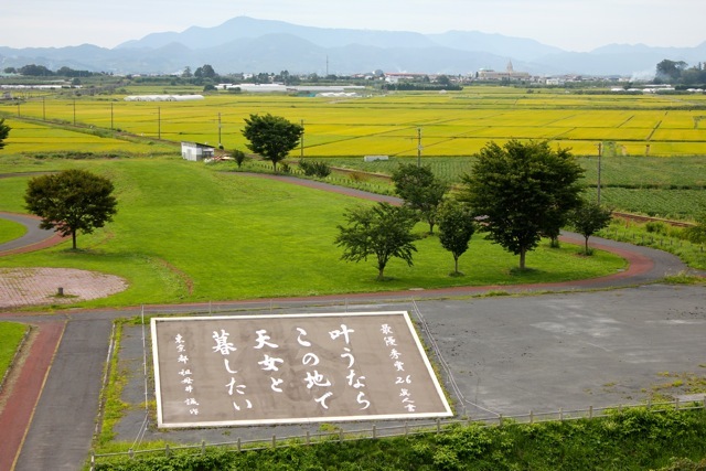 【田んぼアート】青森旅行 - 8 -_f0348831_07535917.jpg