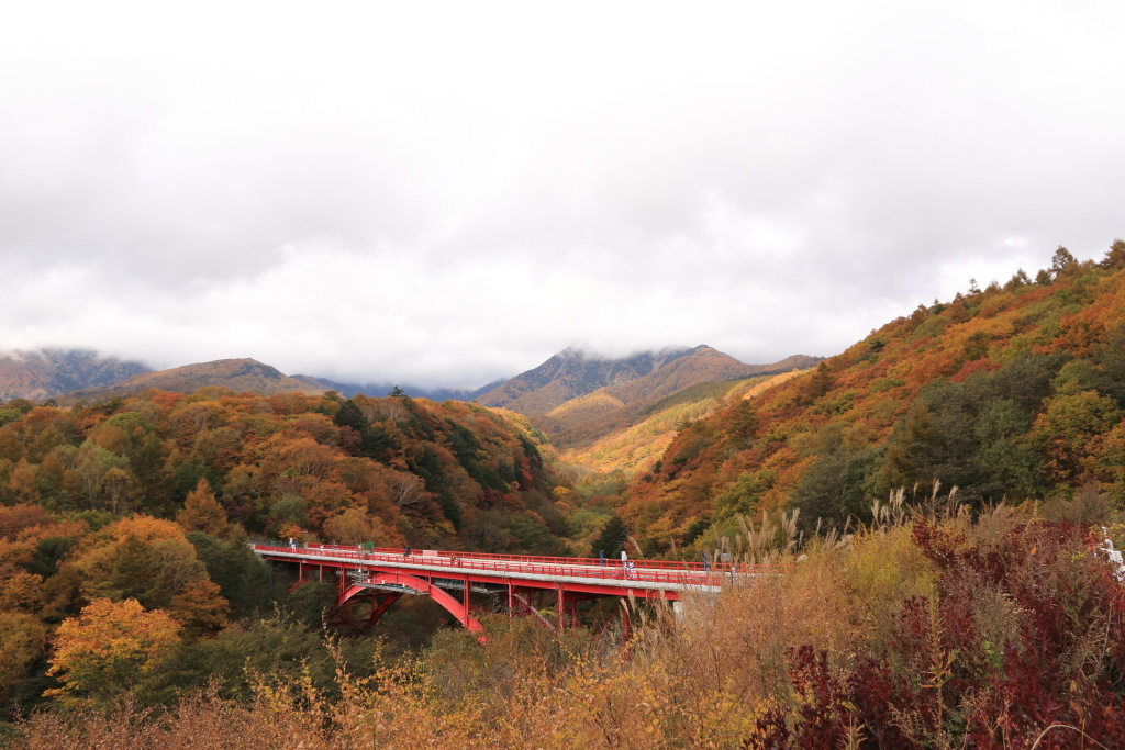 八ヶ岳高原ライン_b0189733_00321411.jpg