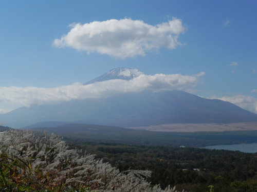 b0182334_1757234.jpg