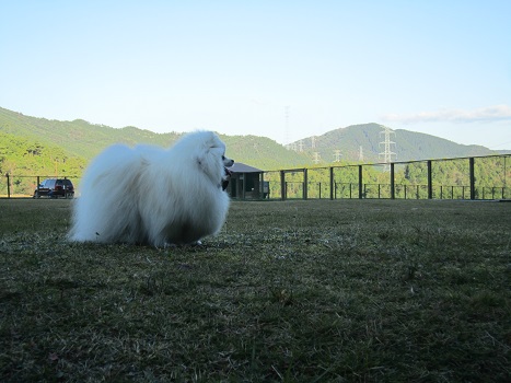 綺麗~~~~♪_b0177436_21405019.jpg