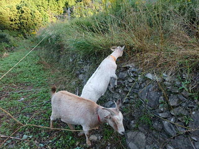c0183137_1843233.jpg