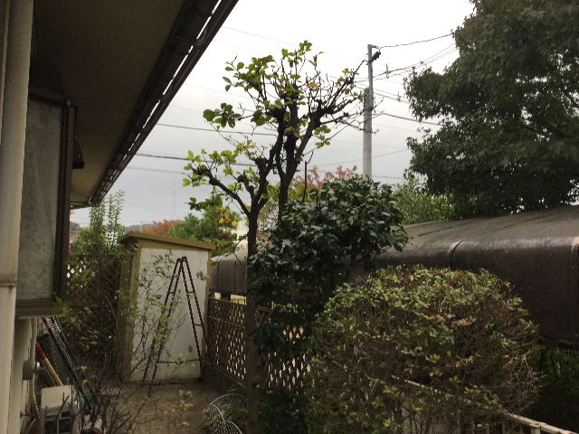 ハイスピード作業_f0031037_18543727.jpg