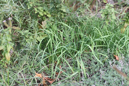 b0271640_1442765.jpg