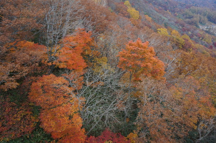 b0233441_14251152.jpg