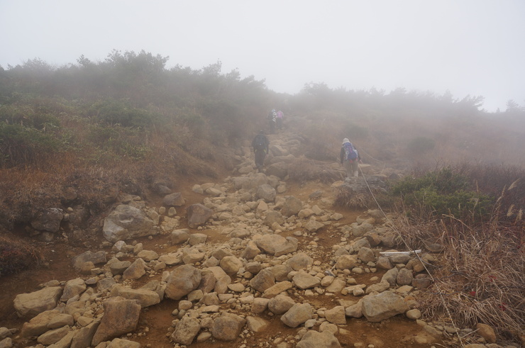 b0233441_14274866.jpg