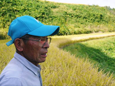 菊池水源棚田米 稲刈りの様子2015(前編)_a0254656_17555065.jpg
