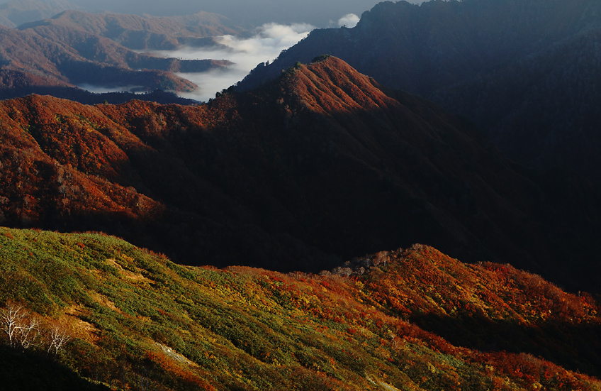 《速報》錦秋山歩♪_f0016656_22522590.jpg