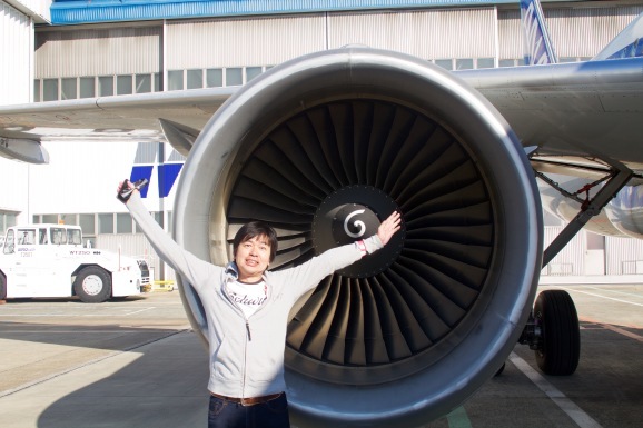 Ana A3機ジェットエンジンのファンブレードが約30万円で販売中 Air Born Japan 日本の空を 楽しもう
