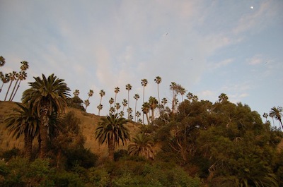 f0063659_6243856.jpg