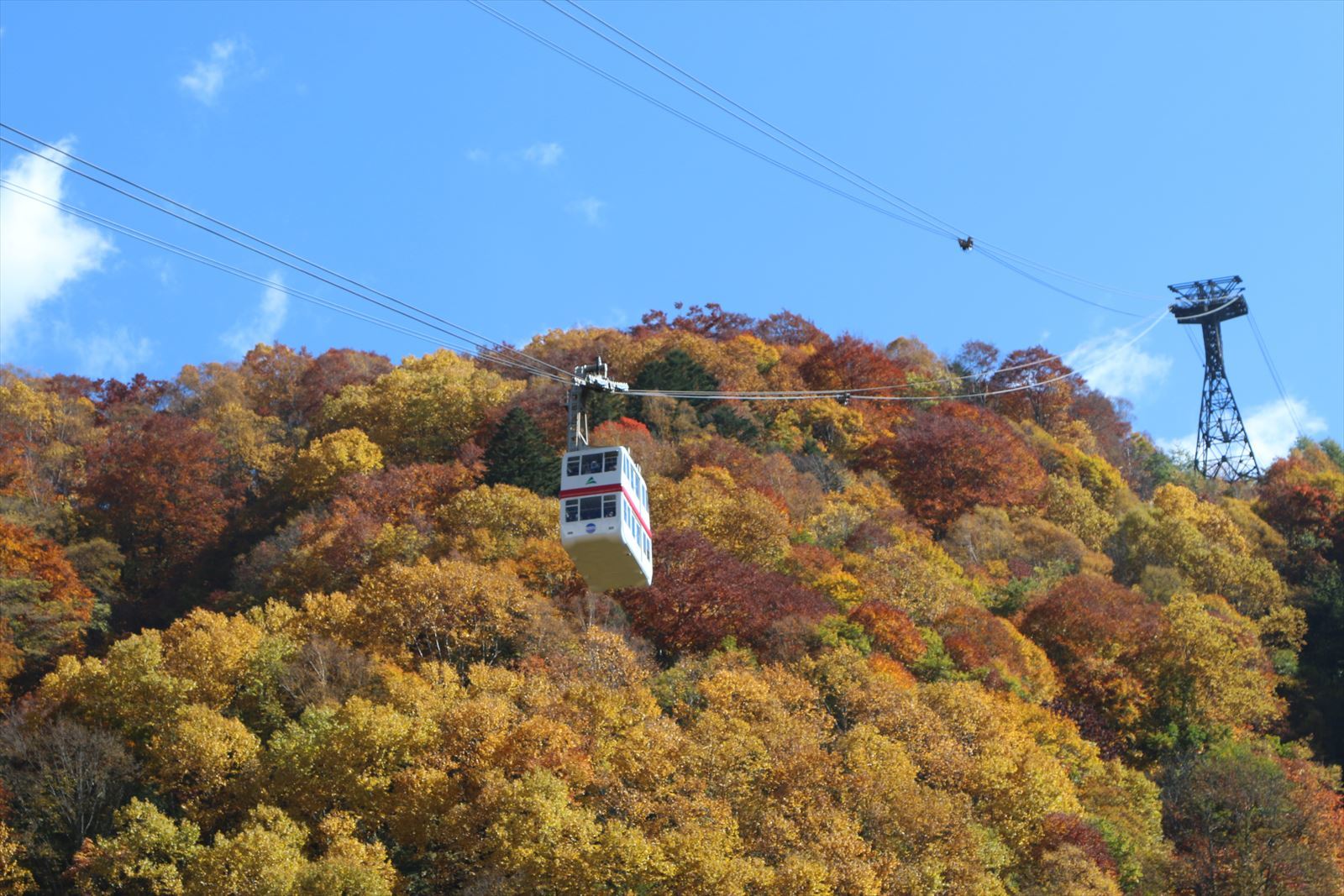f0358360_00084446.jpg