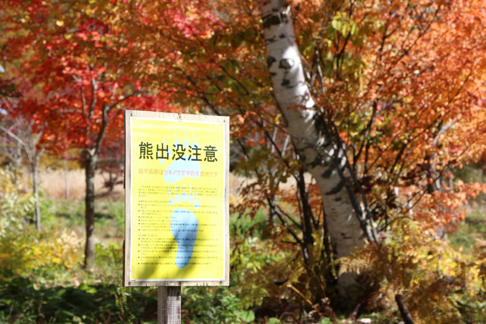f0358360_00114490.jpg