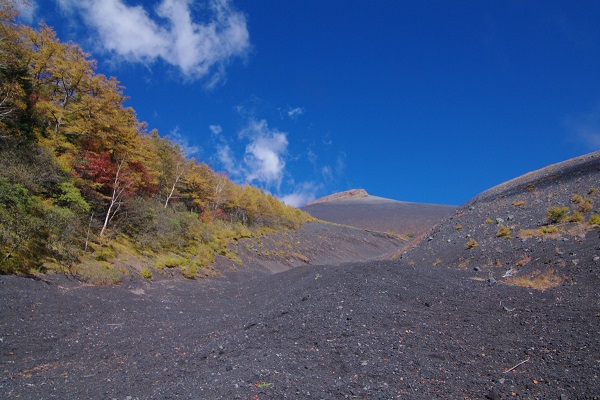 水ヶ塚から双子山（紅葉散策）_d0164761_13471412.jpg