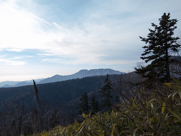 ニペソツ山　前天狗まで。。2015秋_f0054366_22531738.jpg