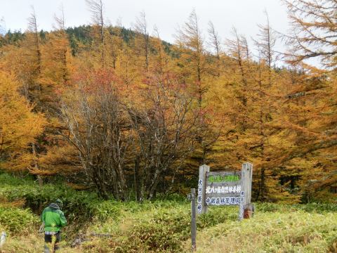 10/12 蓼科山、後編_e0045768_2211409.jpg