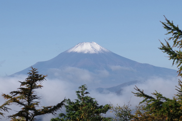 神奈川県最高峰に登る_e0167571_2322276.jpg