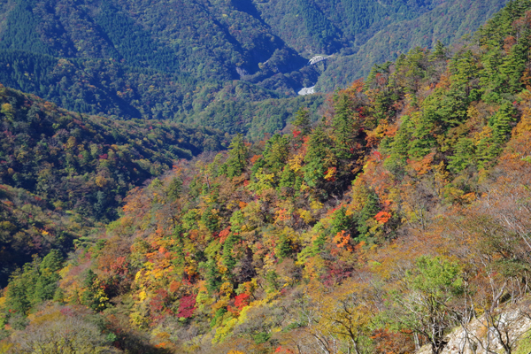 神奈川県最高峰に登る_e0167571_234296.jpg