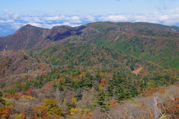 神奈川県最高峰に登る_e0167571_237820.jpg
