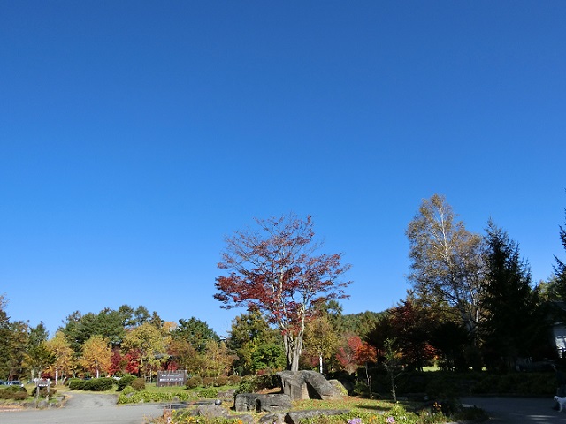 d0147774_22244444.jpg