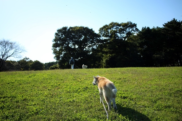 思い出し日記「ひたち海浜公園」_c0257276_23512487.jpg