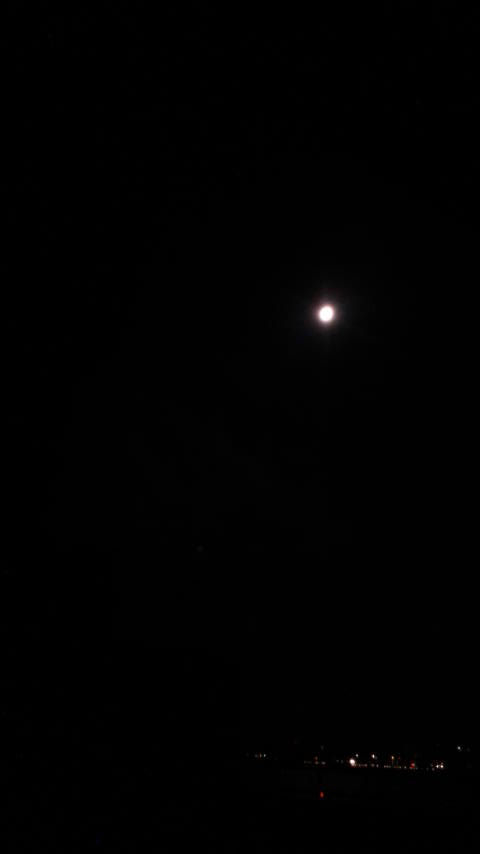 d0339676_11253965.jpg