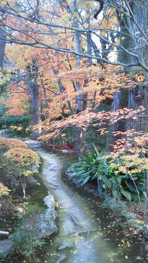 高野山真言宗・若王山無動寺_d0339676_11255571.jpg