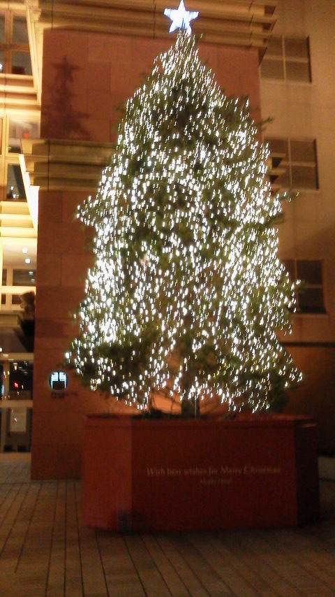 水行(すいぎょう)とクリスマスツリー_d0339676_11255576.jpg