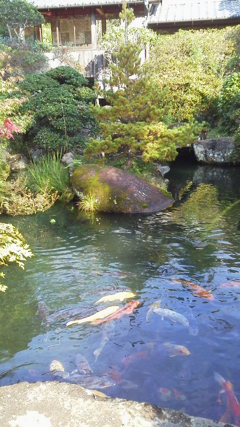 遍路・高知県39番札所・延光寺_d0339676_11255735.jpg