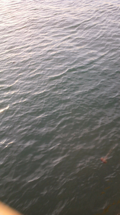 d0339676_11262961.jpg
